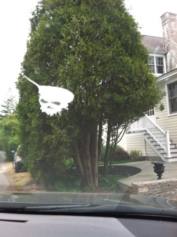 Фигурный высер на лобовухе