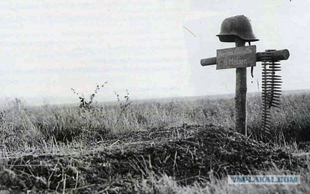 Отчеты о войне