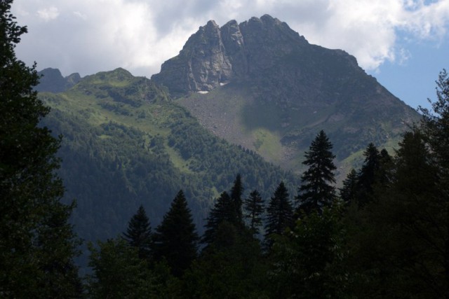 Бесчувственный или предусмотрительный сын?