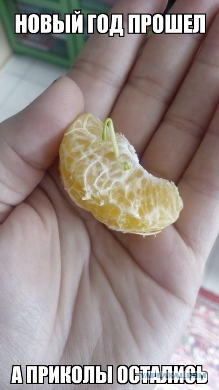 Картинки разные