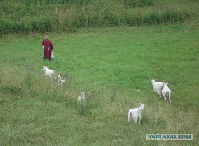 Подборка картинок 20.02.16