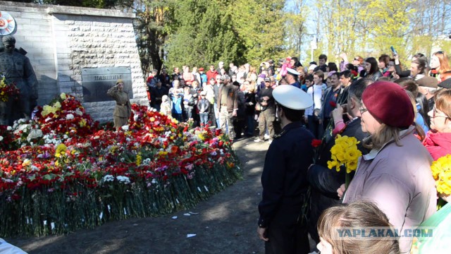 Американцы празднуют День Победы, и смотрят Парад 9 мая