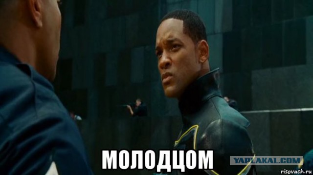 Утка с утятами на МКАД
