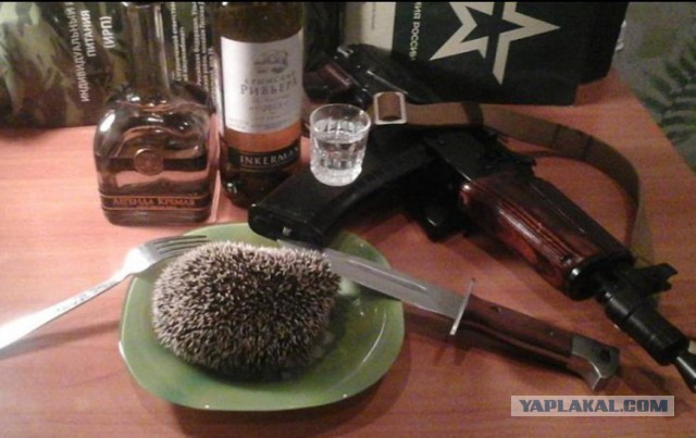 Отупляющие приколы