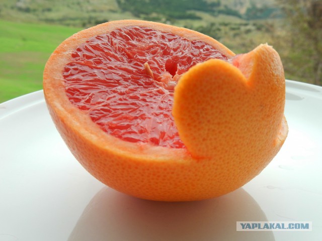 Фуршетный закусочный стол