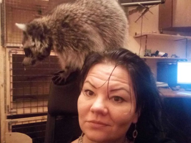Предательство новогоднее