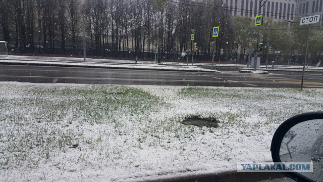 Голицыно, Подмосковье. 100-е февраля.