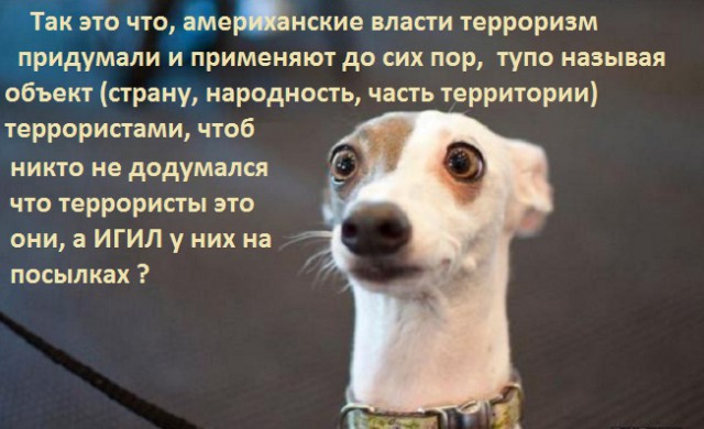 Каддафи Муаммар...