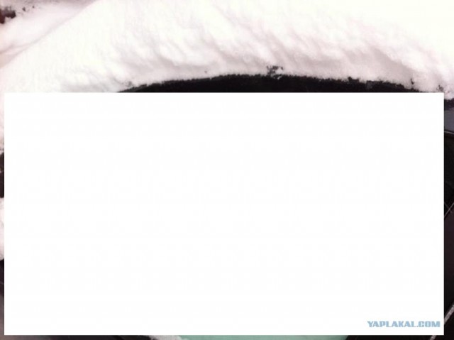 Забыл закрыть окошко