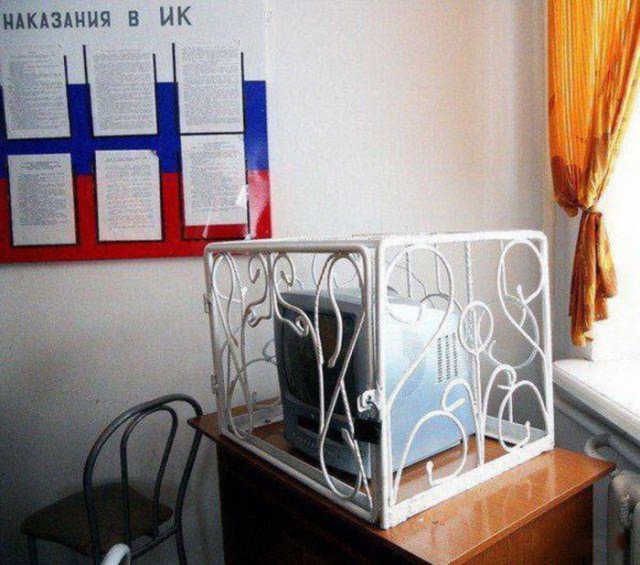 Лента прикольных картинок