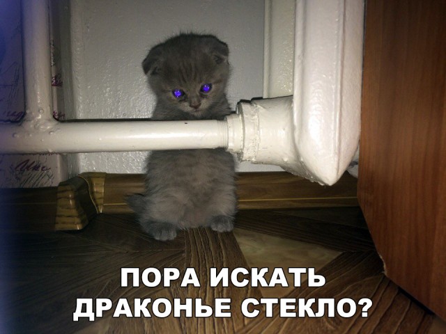 Немного милоты