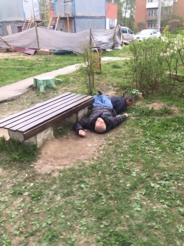 Скотсети и прочие интернеты 13.12.19