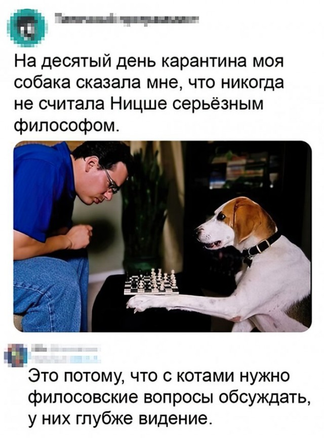 Немного картинок для настроения 01.04.20