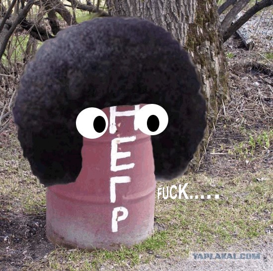 Фотожаба: HЕГР в бочке