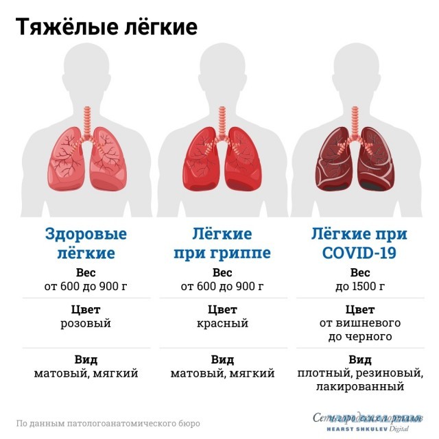 Для тех, кто считает коронавирус выдумкой