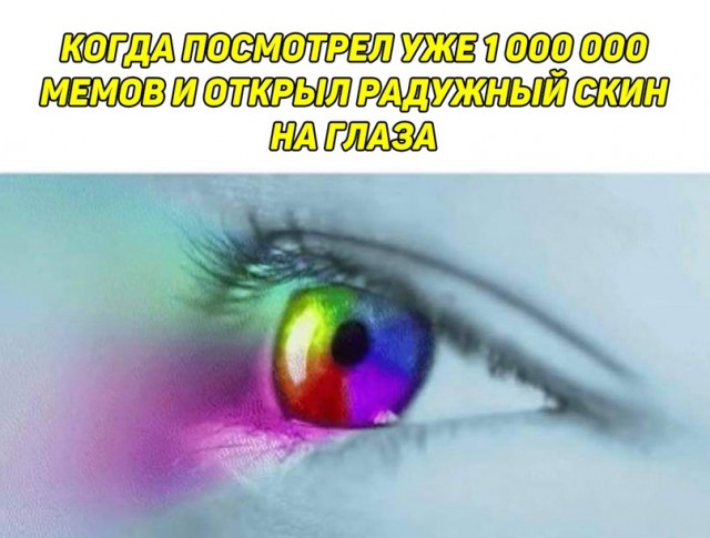 Весёлый полтишок 15.08