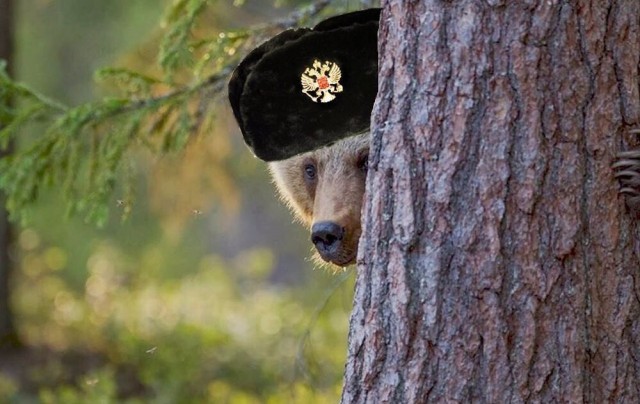 Путин опять ушел в тайгу. На четыре дня