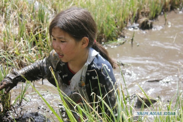 SASHAAIST: Будем жить!