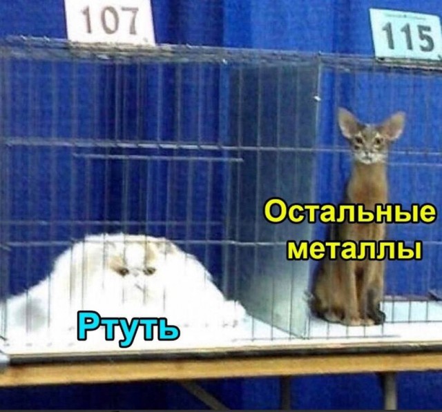 Так себе картинки 11.06.22