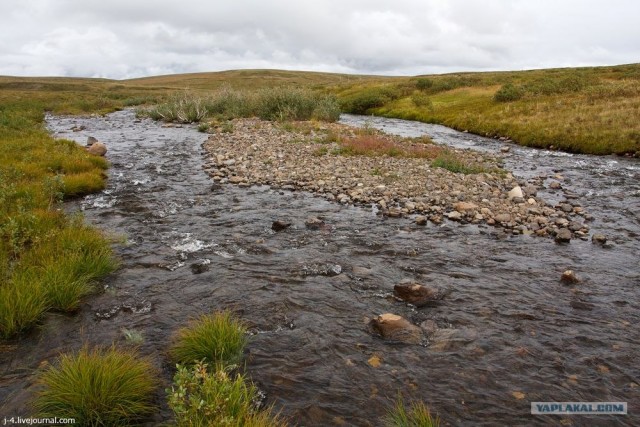 За Полярным кругом. Норильск. Тундра.