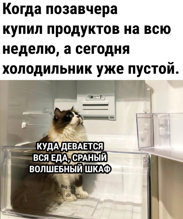 Чуток картинок 11.10.22