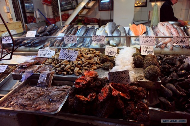 Южно-Американский дневник. Чили. сантьяго