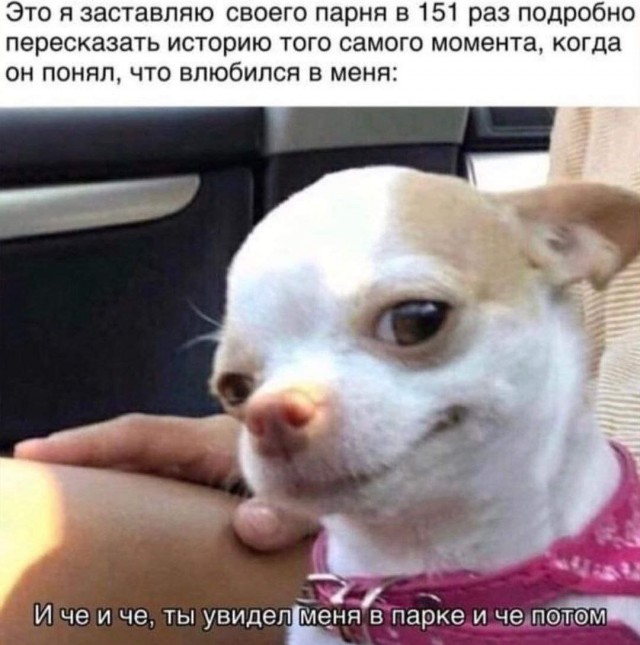 Картинки и мемы. Выходные близко...