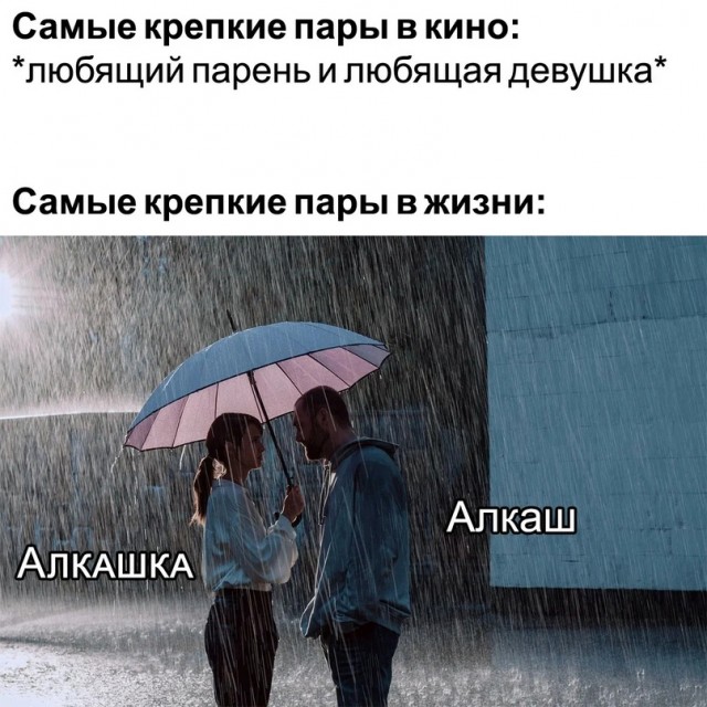 Весёлый полтишок 21.12.2022