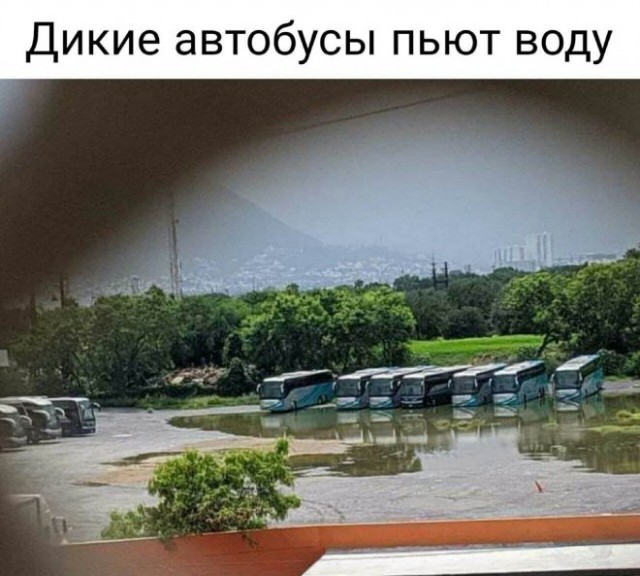 Немного картинок для настроения - 127