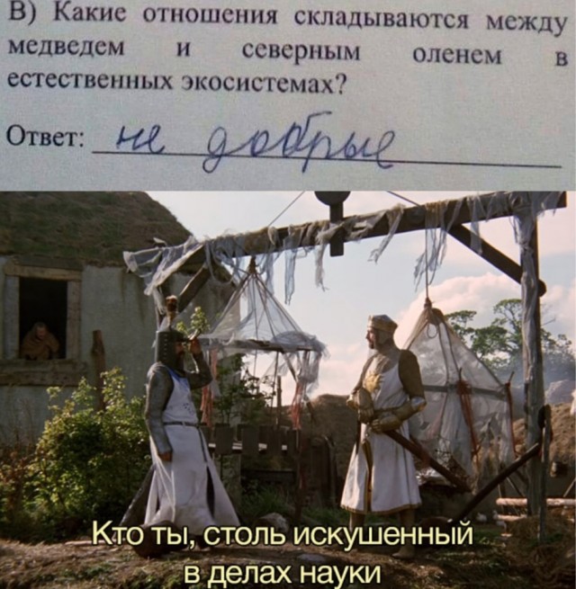 Немного картинок для настроения - 129