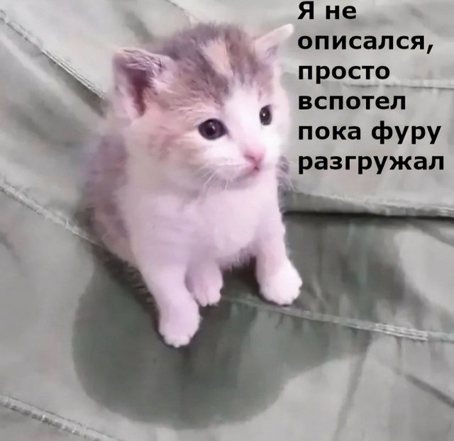 Так себе картинки 15.02.23