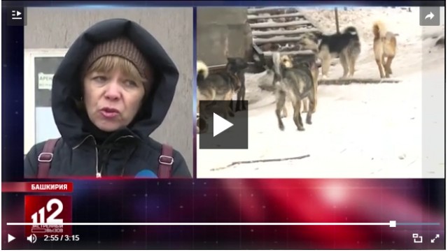 В Башкирии отравили собак