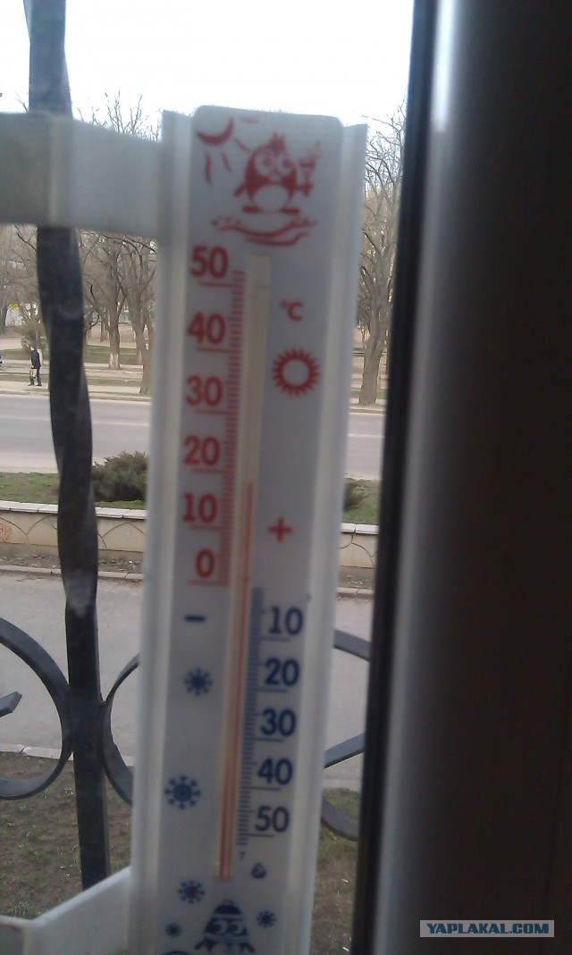 Москвичи сходят с ума