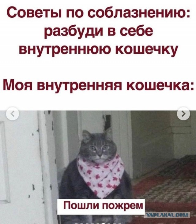 Кулинарная общалка