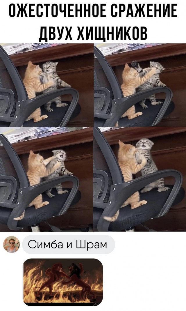 Картинки весёлые, вроде
