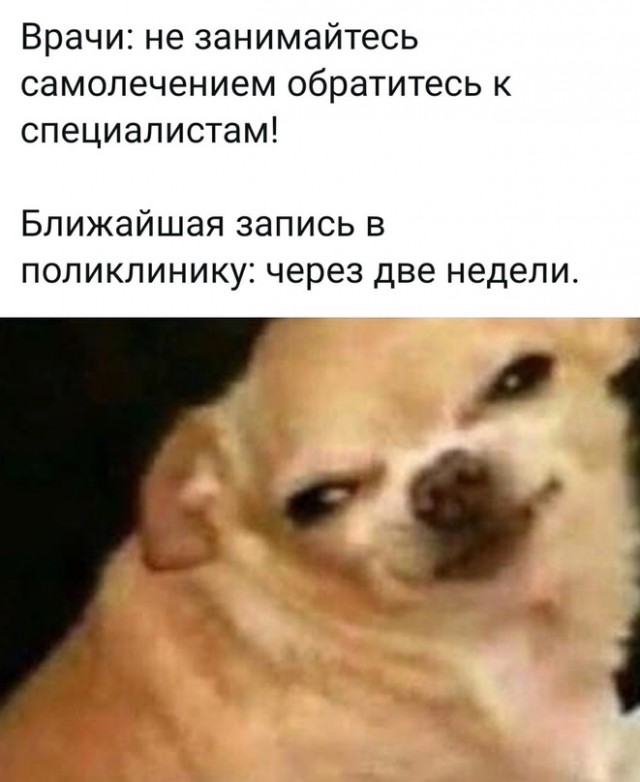 Скупка краденого из сети 15-06-2023