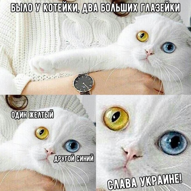 Так себе картинки 13.07.23