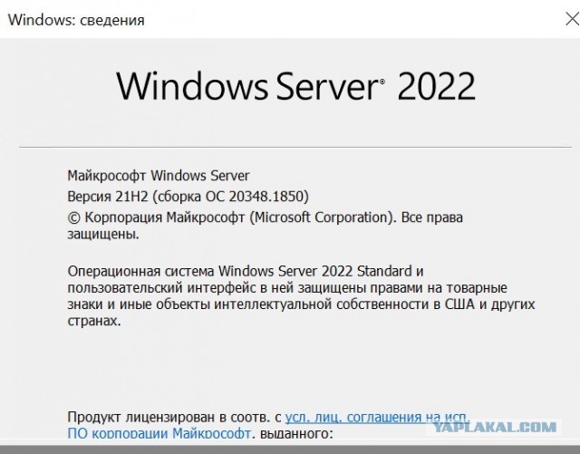 Лицензии Microsoft в России перестанут действовать в сентябре
