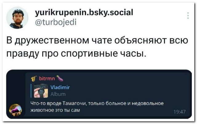 Забавные комментарии из социальных сетей (16.10.23)