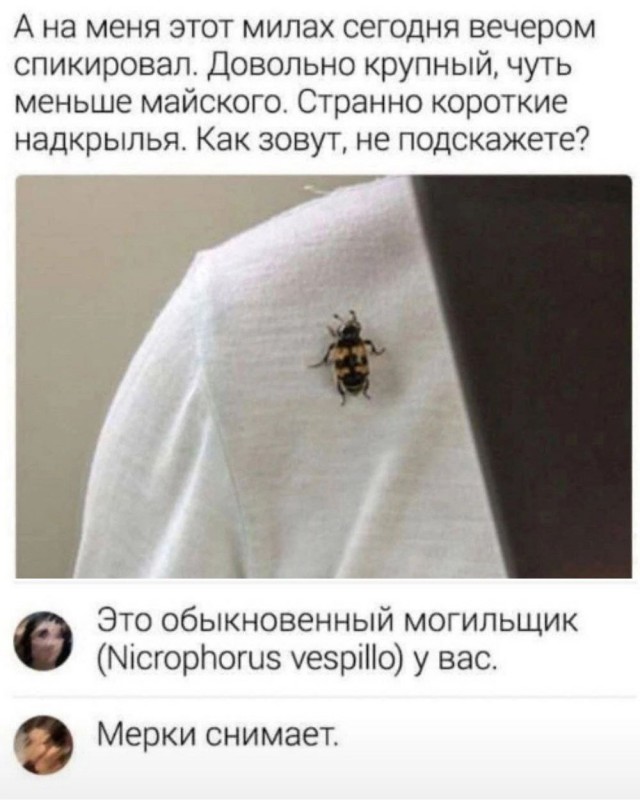 Отряд быстрого деградирования