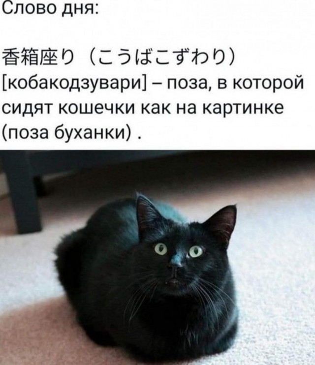 Картинки разные с надписями и без