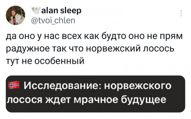 Немного забавных картинок от 13.10.2024