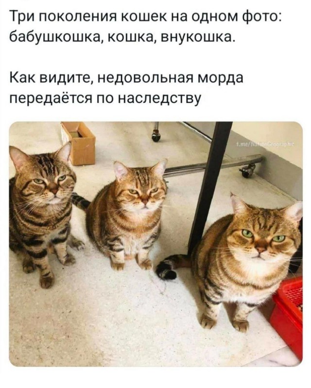 Завалялось тут случайно немного забавных картинок