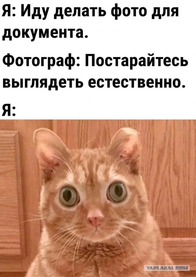Если вам немного за 40...