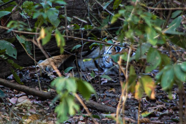Бутан, таинственный Бутан