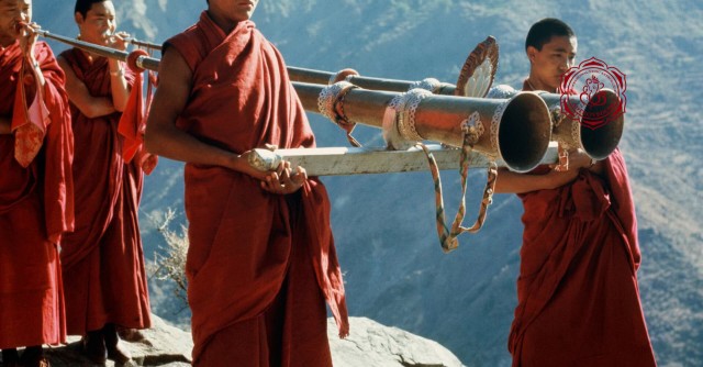 Какие звуки издаёт маленькая рысь, которой всего один год