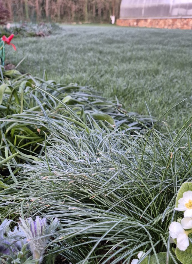 Вот ты какой, май месяц