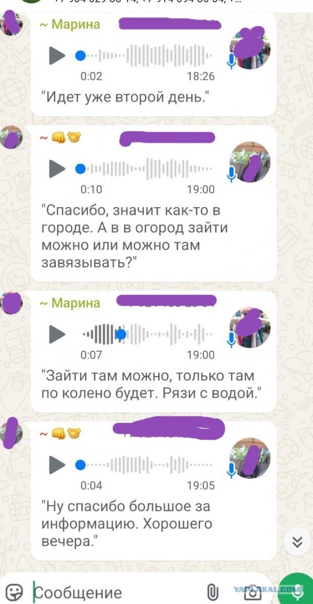 Голосовые сообщения в мессенджах