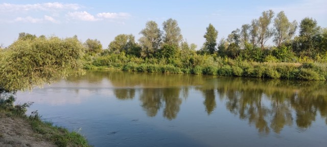 Донская степь