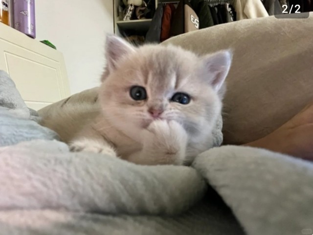 Размышления во вторник.